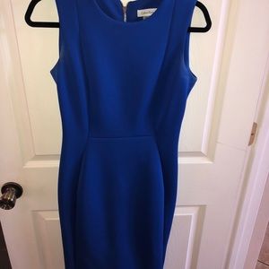 Business Professional Calvin Klein Dress